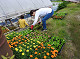 album/20250529natubana/20250529_02_thumb.jpg