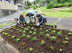 album/20250529natubana/20250529_05_thumb.jpg